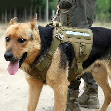 Tactical Military Dog Harness